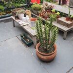 Inexpensive Garden Edging Ideas