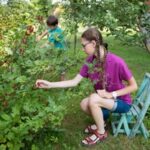 Cheap Creative Garden Edging Ideas