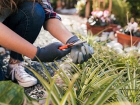 How to install metal garden edging? gardenedgingexpert.com